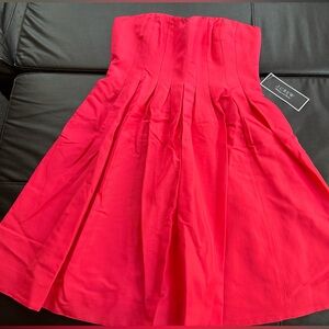 New With Tags Stunning Busted Dress by J.Crew